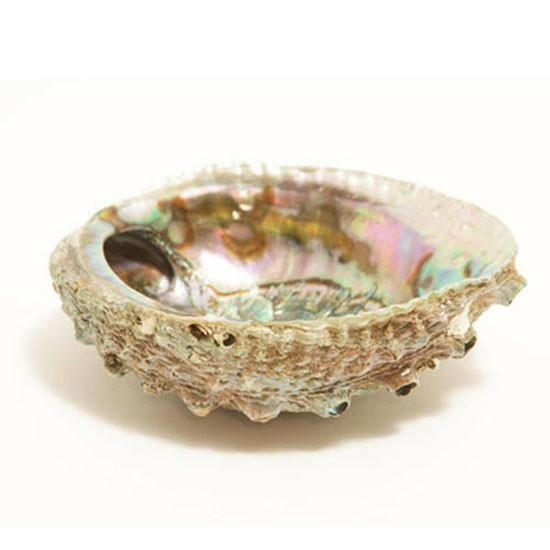 Smudge Ash Tray Burner - Abalone Shell - Large 5"-6".