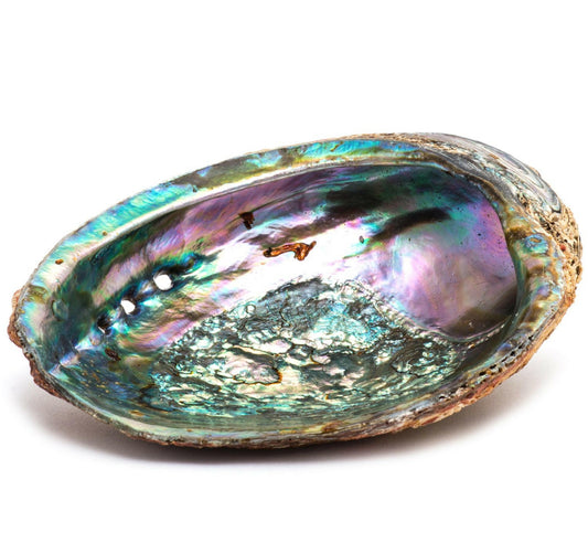 Smudge Ash Tray Burner - Abalone Shell - Large 5"-6".