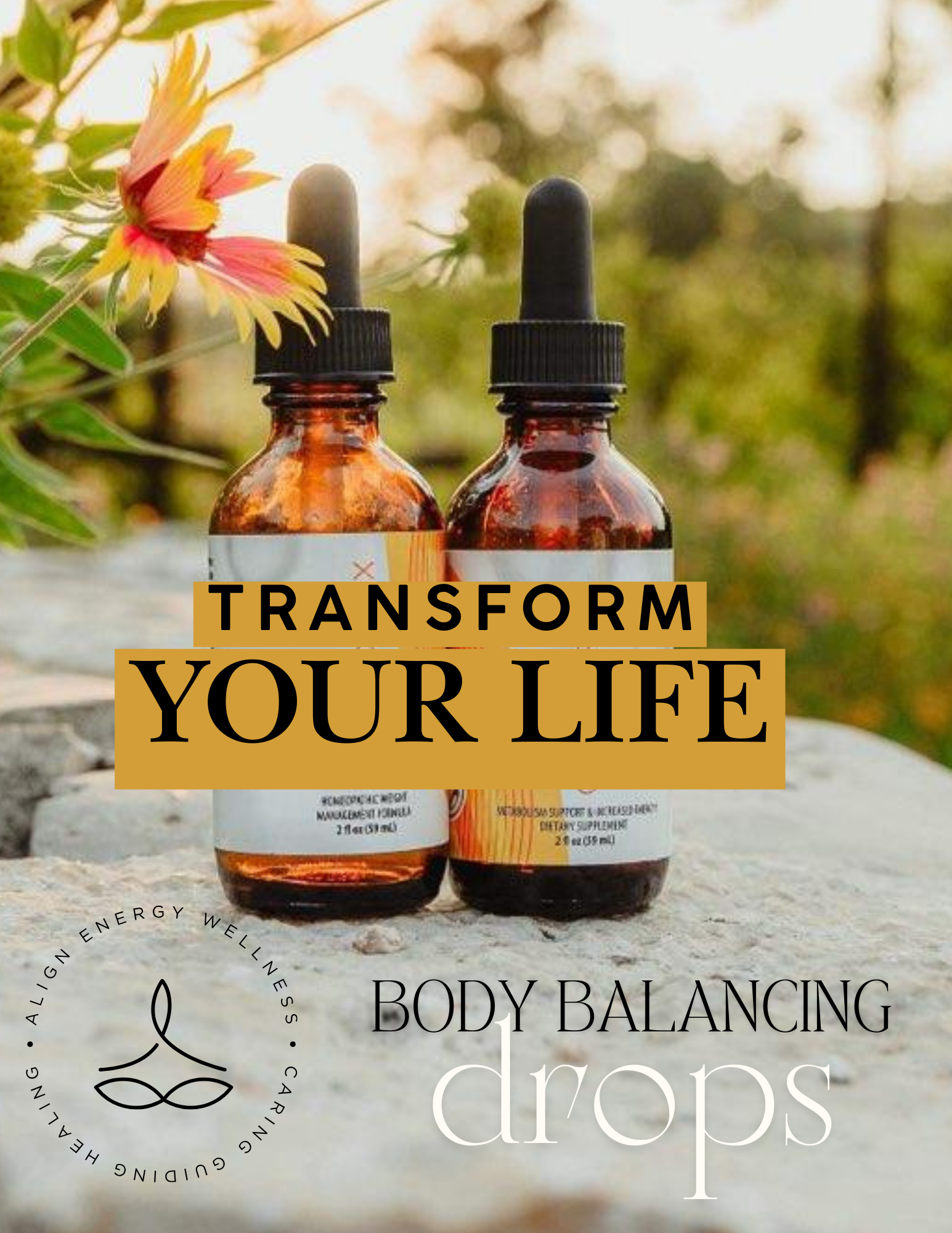 Natural Balance Body Drops – Enhance Energy & Metabolism Naturally.